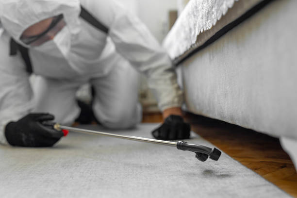 Professional Cockroach Control technician working in Grundy County County, IL